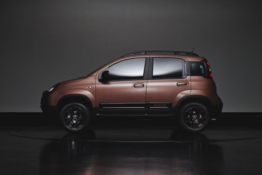 Fiat Panda Trussardi (319) 2019 года  (фото 40 из 43)